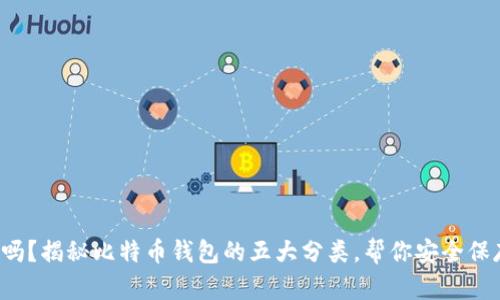 你知道吗？揭秘比特币钱包的五大分类，帮你安全保存财富！