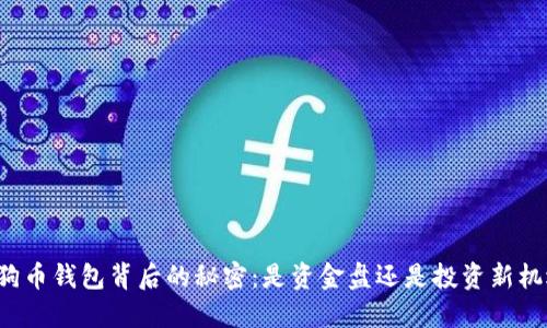 狗狗币钱包背后的秘密：是资金盘还是投资新机遇？