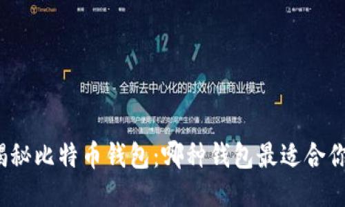 揭秘比特币钱包：哪种钱包最适合你？