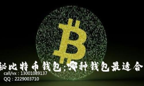 揭秘比特币钱包：哪种钱包最适合你？