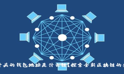 TP开头的钱包地址是什么链？探索全新区块链的奥秘