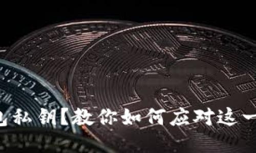丢失TP钱包私钥？教你如何应对这一棘手问题！