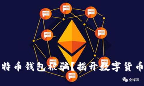 如何避免比特币钱包被骗？揭开数字货币背后的真相