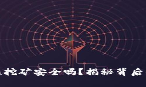 TP钱包流动性挖矿安全吗？揭秘背后的风险与机遇