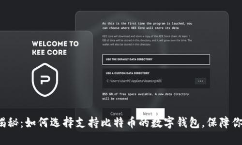 数字钱包大揭秘：如何选择支持比特币的数字钱包，保障你的资产安全！