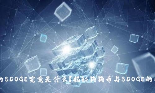 钱包里的BDOGE究竟是什么？揭秘狗狗币与BDOGE的内在联系