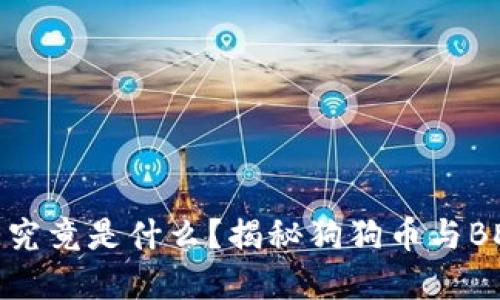钱包里的BDOGE究竟是什么？揭秘狗狗币与BDOGE的内在联系