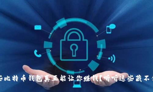 揭秘：哪些比特币钱包真正能让你赚钱？听听这些藏不住的秘密！