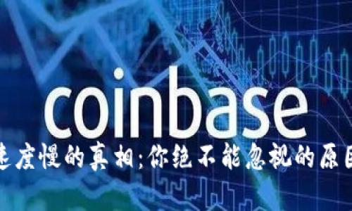 TP钱包转入速度慢的真相：你绝不能忽视的原因与解决方案