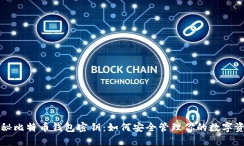 揭秘比特币钱包密钥：如何安全管理你的数字资产