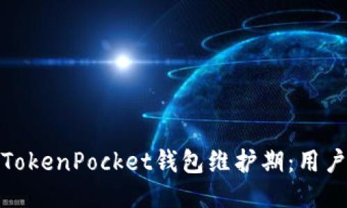 如何优雅地度过TokenPocket钱包维护期：用户指南与应对策略