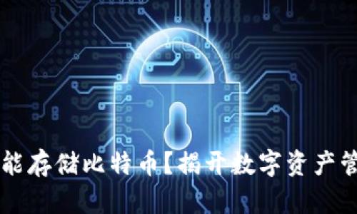 MEW钱包是否能存储比特币？揭开数字资产管理的神秘面纱