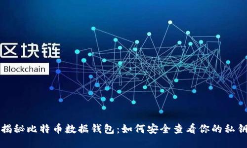 揭秘比特币数据钱包：如何安全查看你的私钥