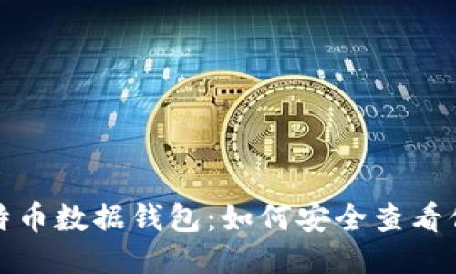 揭秘比特币数据钱包：如何安全查看你的私钥
