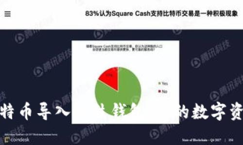 如何轻松将比特币导入鼓鼓钱包：你的数字资产管理新选择