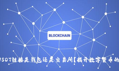 如何辨别USDT链接是钱包还是交易所？揭开数字货币的神秘面纱！