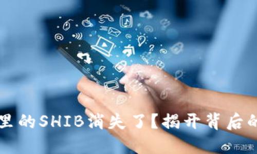 为何你的TP钱包里的SHIB消失了？揭开背后的秘密与解决方案