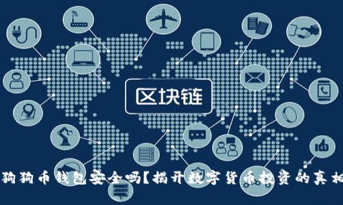 狗狗币钱包安全吗？揭开数字货币投资的真相
