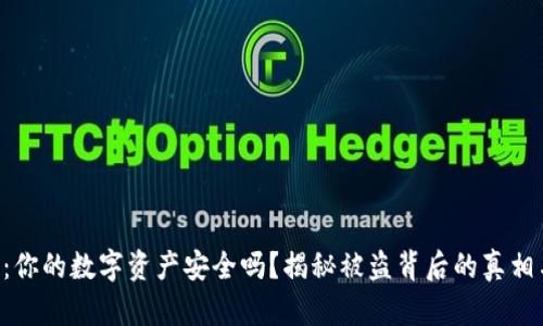 “TP钱包危机：你的数字资产安全吗？揭秘被盗背后的真相与保护措施！”