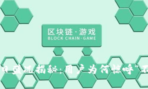 TP钱包今日盛况揭秘：用户为何惊呼“不可思议”？