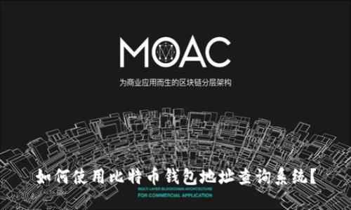 如何使用比特币钱包地址查询系统？