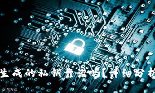TP钱包生成的私钥靠谱吗？详细分析与指南