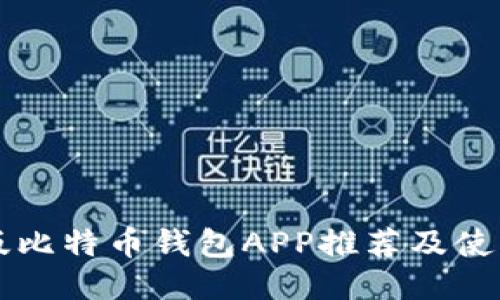 中文版比特币钱包APP推荐及使用指南