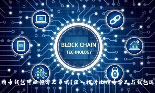 比特币钱包可以领分叉币吗？深入探讨比特币分叉与钱包选择