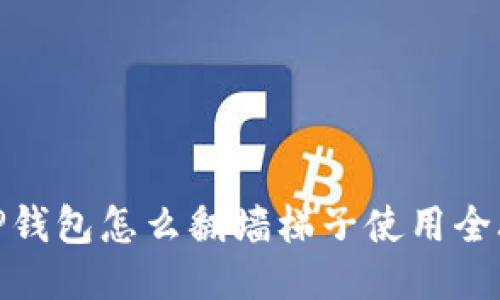 : TP钱包怎么翻墙梯子使用全攻略