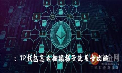: TP钱包怎么翻墙梯子使用全攻略