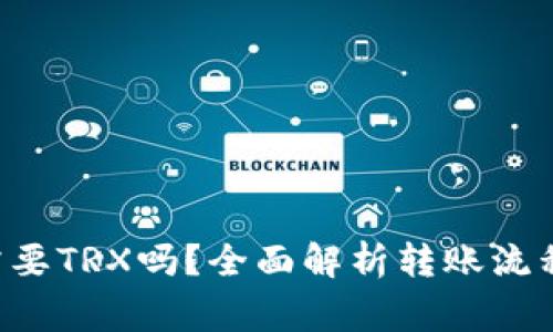 TP钱包转U需要TRX吗？全面解析转账流程与注意事项